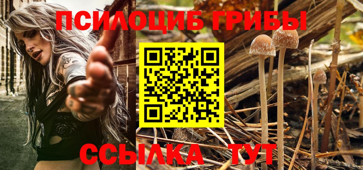 Псилоцибиновые грибы мухоморы  Вход с VPN  Псилоцибиновые грибы Psilocybine cubensis  Тосно 